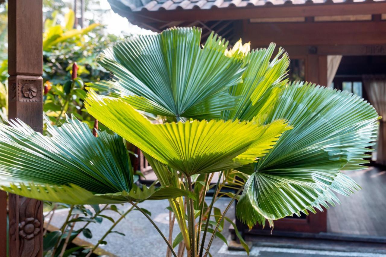 Villa Waturenggong Ubud Exteriér fotografie